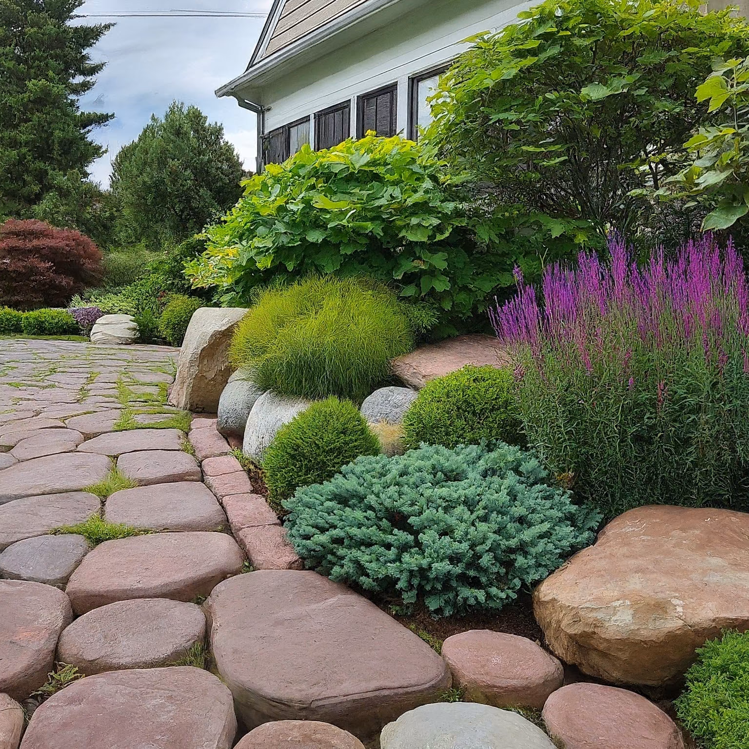 Colorful flowering shrubs planted along a garden border