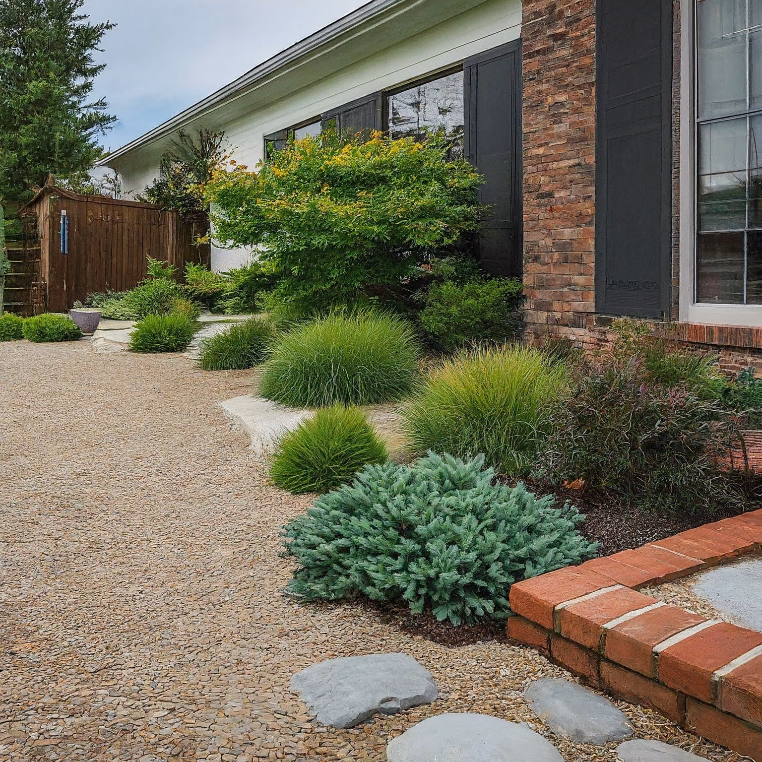 Drought-tolerant shrubs planted in a gravel and pebble bed