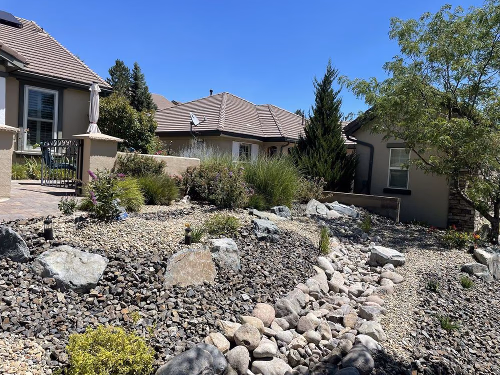 A backyard river-rock bed with boulders and a flowering shrub along a curved lawn edge