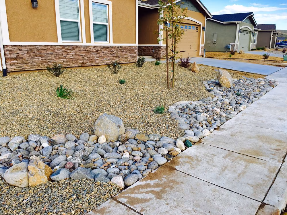 A front-yard dry creek bed of river rock beside a sidewalk, with gravel groundcover and a young tree
