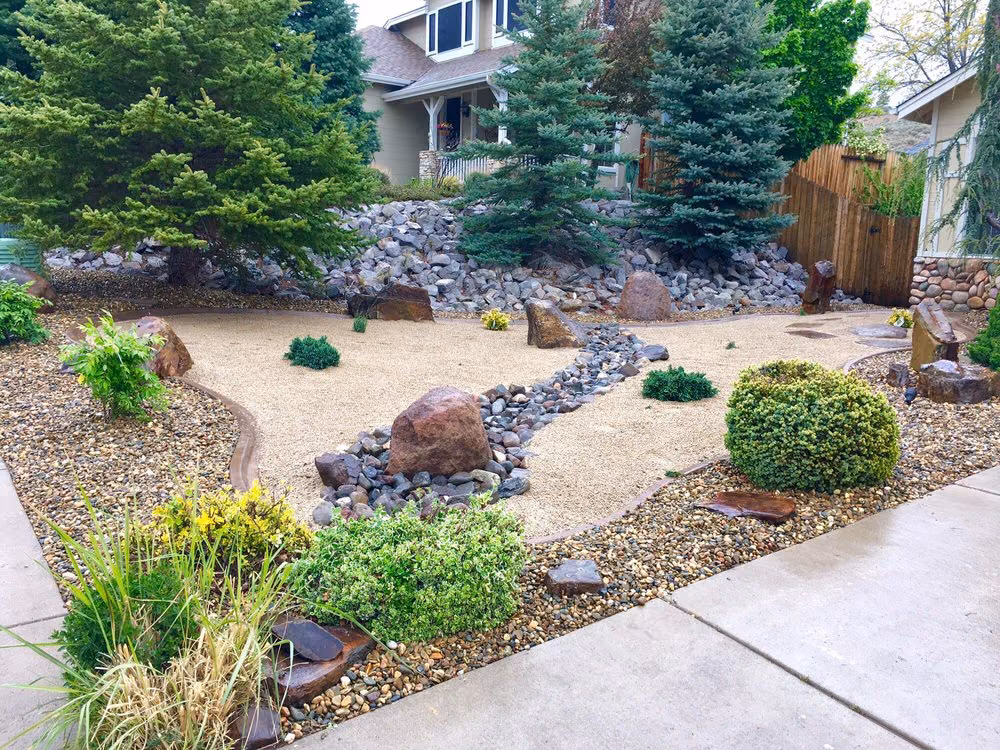 A front-yard dry creek bed of river rock with boulders, blue spruce trees, and gravel groundcover
